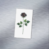 Carte De Visite Magnétique Fleur rose noire (In Situ)