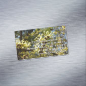 Carte De Visite Magnétique Fleurs à puces de sorcière (In Situ)