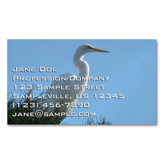 Carte De Visite Magnétique Great Egret dans la Floride ensoleillée (devant)