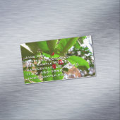 Carte De Visite Magnétique Holly Feuilles II Vacances Nature Botanique (In Situ)