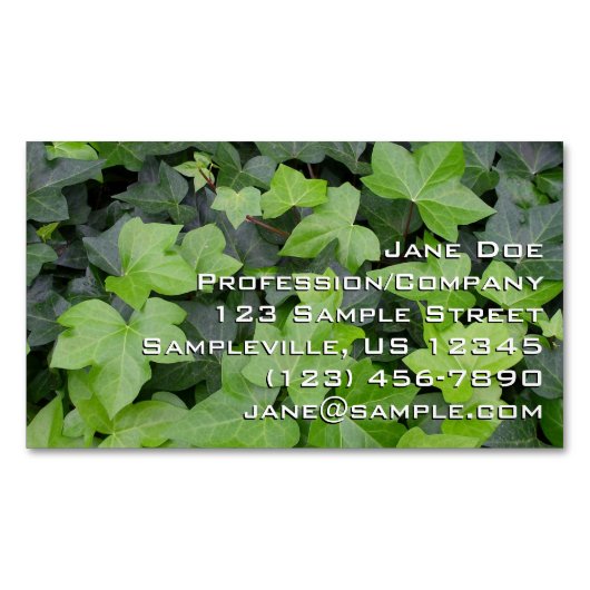 Carte De Visite Magnétique Impression botanique verte Ivy (devant)