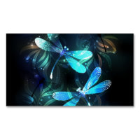 Les libellules du lac