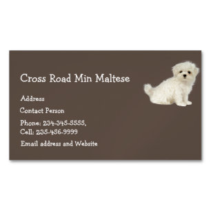 Carte De Visite Magnétique Logo animal animal animal animal chien maltais