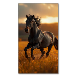 Carte De Visite Magnétique Magnifique Cheval Étalon Noir Paysage de Coucher d