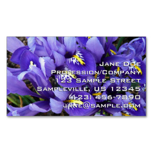 Carte De Visite Magnétique Miniature Bleu Irises Printemps Floral