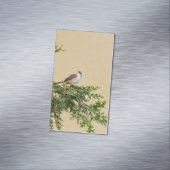 Carte De Visite Magnétique Moineau (In Situ)