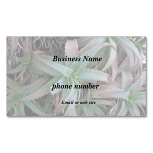 Carte De Visite Magnétique Nevada succulents