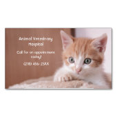 Carte De Visite Magnétique Orange Kitten Pet Care (devant)
