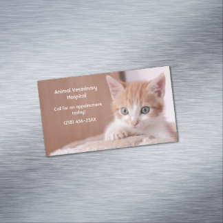 Carte De Visite Magnétique Orange Kitten Pet Care