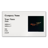 Carte De Visite Magnétique Orange Koi et Gold Koi (devant)