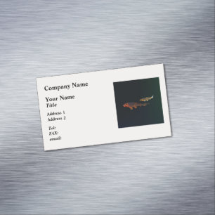 Carte De Visite Magnétique Orange Koi et Gold Koi