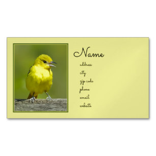 Carte De Visite Magnétique Orchard Oriole - Photo originale