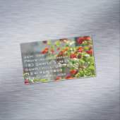 Carte De Visite Magnétique Papillon monarque sur le papillon rouge Bush (In Situ)