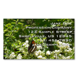 Carte De Visite Magnétique Papillon Soeur de Californie à Yosemite