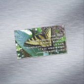 Carte De Visite Magnétique Papillon Swallowtail I sur Milkweed à Shenandoah (In Situ)