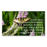 Papillon Swallowtail sur Fleurs sauvages pourpres