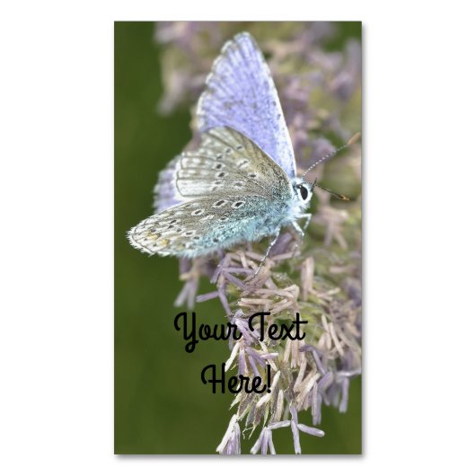 Carte De Visite Magnétique Petite beauté (devant Vertical)