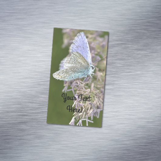 Carte De Visite Magnétique Petite beauté (In Situ)