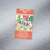 Carte De Visite Magnétique Photographe professionnel pour animaux de compagni (In Situ)