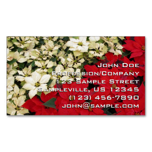 Carte De Visite Magnétique Poinsettias blanches et rouges I Holiday Floral