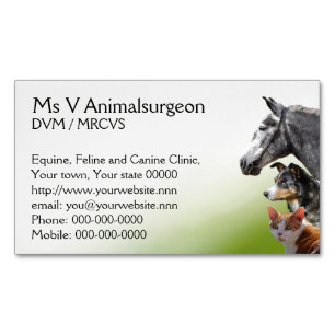Carte De Visite Magnétique Pratique en matière de vétérinaire de cheval, d