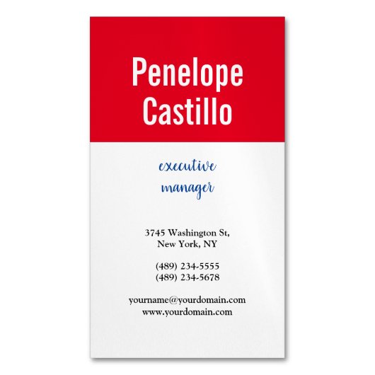 Carte De Visite Magnétique Professionnel Moderne Simple Bleu Rouge Blanc (devant Vertical)