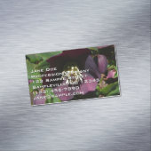 Carte De Visite Magnétique Purple Carême Rose Pâques (In Situ)