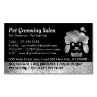 Salon de toilettage pour chiens bain spa argent