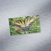 Carte De Visite Magnétique Swallowtail Butterfly II at Shenandoah (In Situ)