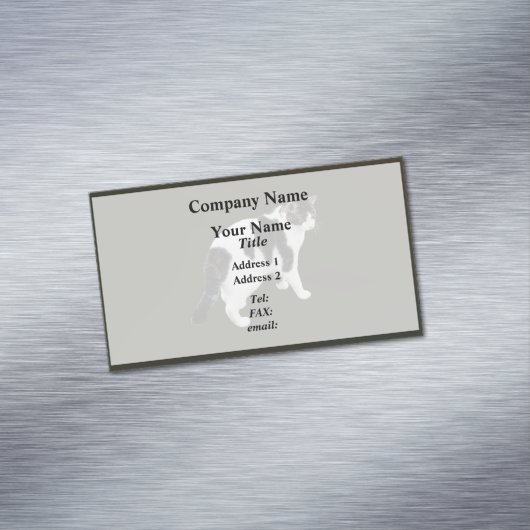 Carte De Visite Magnétique Tabby Blanc Avec Patches Sombres (In Situ)