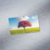Carte De Visite Magnétique tree (In Situ)