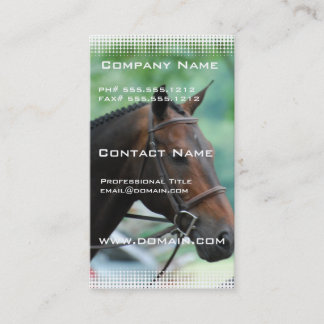 Carte de visite magnifique de cheval de Warmblood