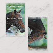 Carte de visite magnifique de cheval de Warmblood (Devant / Derrière)