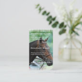 Carte de visite magnifique de cheval de Warmblood (Debout devant)