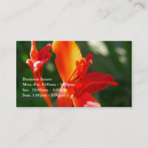 Carte De Visite magnifique été rouge fleurs profil professionnel