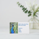 Carte De Visite Magnifique Peacock (Debout devant)