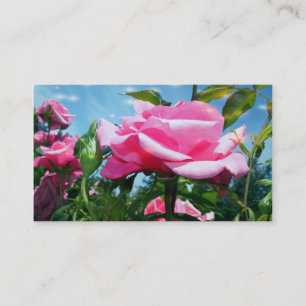 Carte De Visite Magnifique rose rose rose fleur photo professionne
