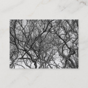 Carte De Visite Magnolia Tree Branches B&W