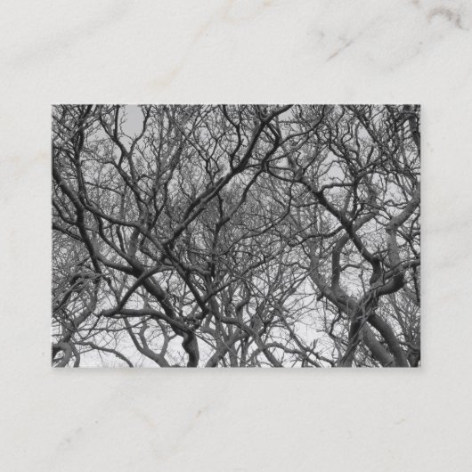 Carte De Visite Magnolia Tree Branches B&W (Devant)