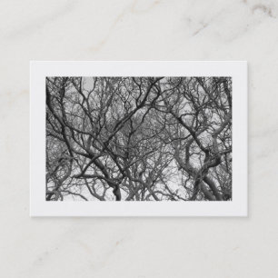 Carte De Visite Magnolia Tree Branches B&W (Bordé)