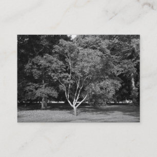 Carte De Visite Magnolia Tree BW