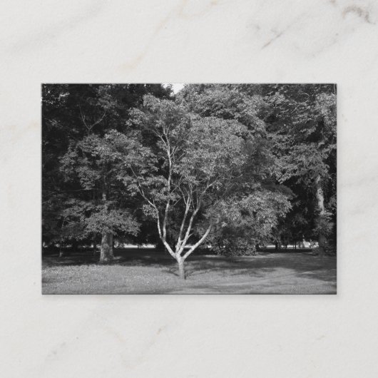 Carte De Visite Magnolia Tree BW (Devant)