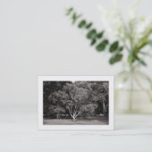 Carte De Visite Magnolia Tree Warm BW (Bordé) (Debout devant)