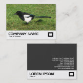 Carte De Visite Magpie européenne (Devant / Derrière)