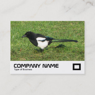 Carte De Visite Magpie européenne