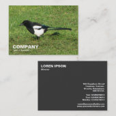 Carte De Visite Magpie européenne (Devant / Derrière)
