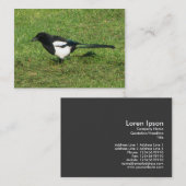 Carte De Visite Magpie européenne (Devant / Derrière)