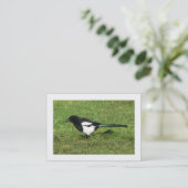 Carte De Visite Magpie européenne (Bordé) (Debout devant)