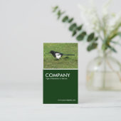 Carte De Visite Magpie européenne - Vert foncé (Debout devant)