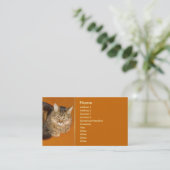 Carte De Visite Maine Coon (Debout devant)